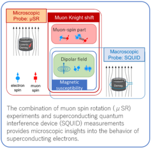 Using Muons to Uncover the Behavior of Superconducting Electron PairsHidden Pitfalls Caused by Nearby Superconductors (published in Physical Review Letters)