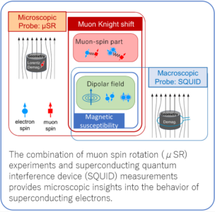 Using Muons to Uncover the Behavior of Superconducting Electron PairsHidden Pitfalls Caused by Nearby Superconductors (published in Physical Review Letters)
