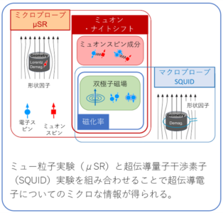 ミュー粒子を使って超伝導電子ペアの状態を解明　隣接する超伝導体の作る落とし穴に警鐘　論文がPhysical Review Letters誌に掲載されました
